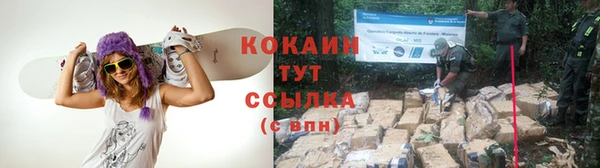 крисы Абаза