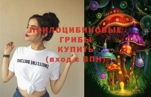 крисы Абаза