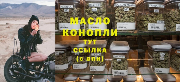 крисы Абаза