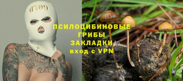амф Абдулино