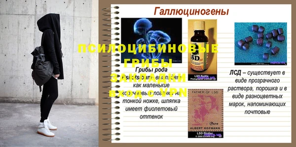 амф Абдулино