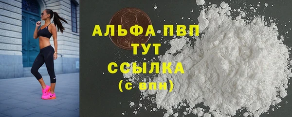 крисы Абаза