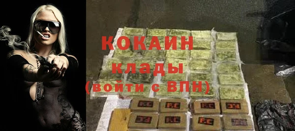 крисы Абаза