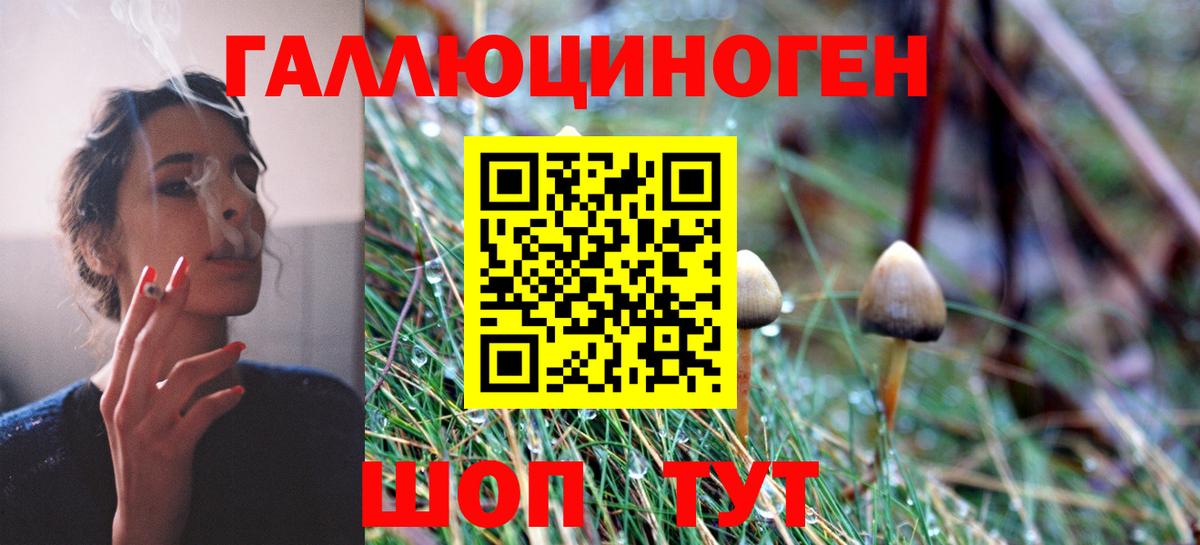 Галлюциногенные грибы Cubensis Хабаровск
