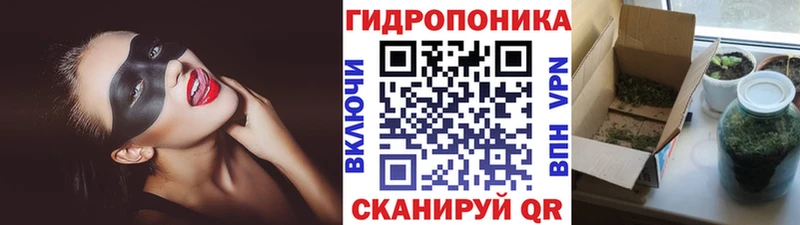 Шишки марихуана план Хабаровск